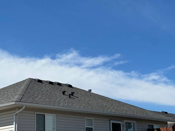 Best Storm Damage Roof Repair  in Grove City, PA